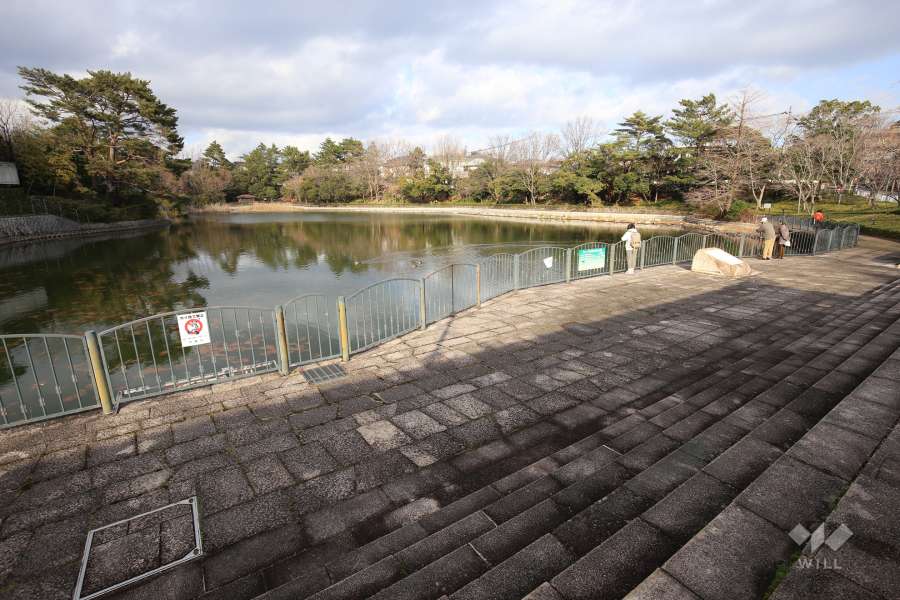 仲ノ池緑地公園1