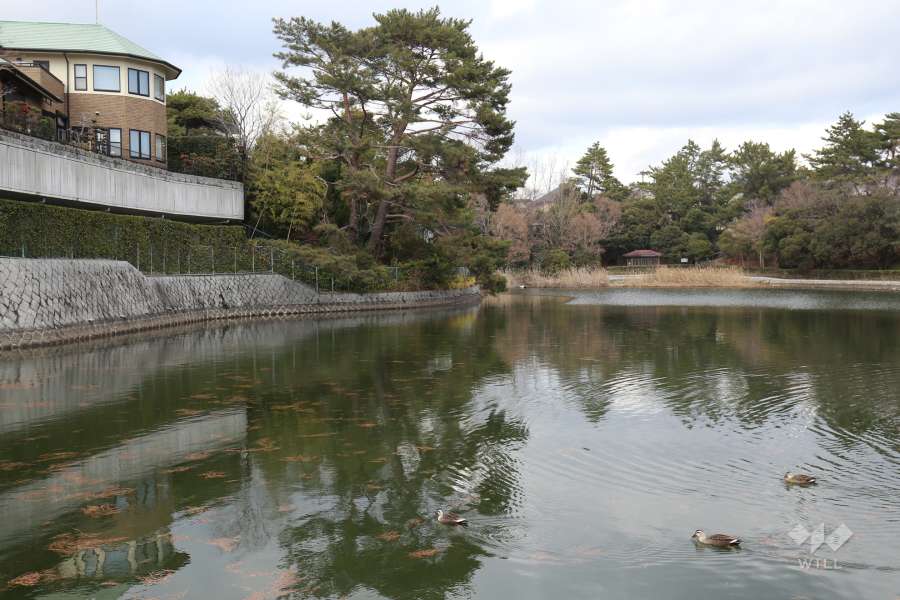 仲ノ池緑地公園2