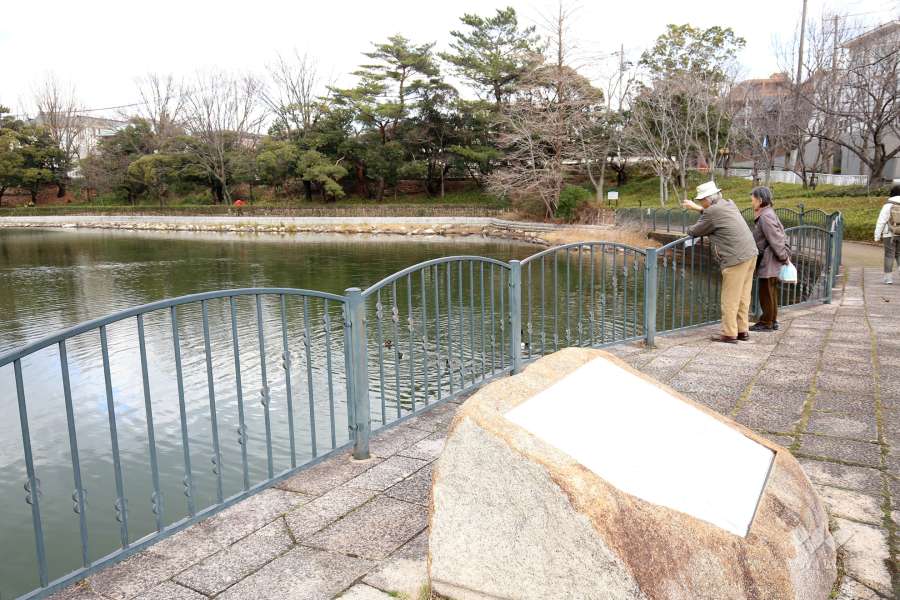 仲ノ池緑地公園3