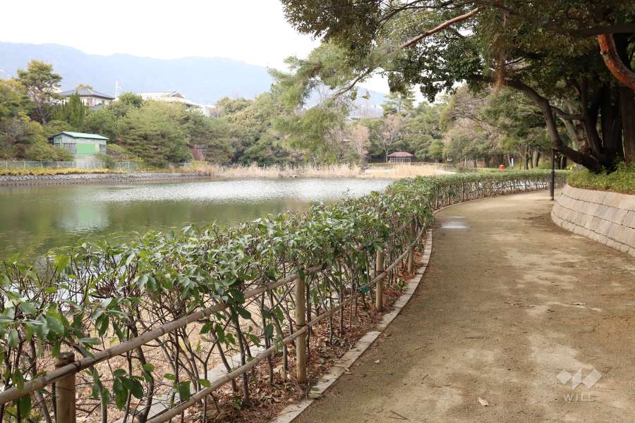 仲ノ池緑地公園4