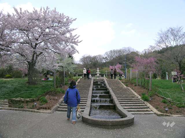 北山緑化植物園11