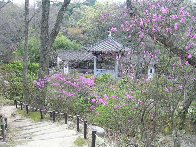 北山緑化植物園10