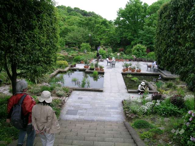 北山緑化植物園4
