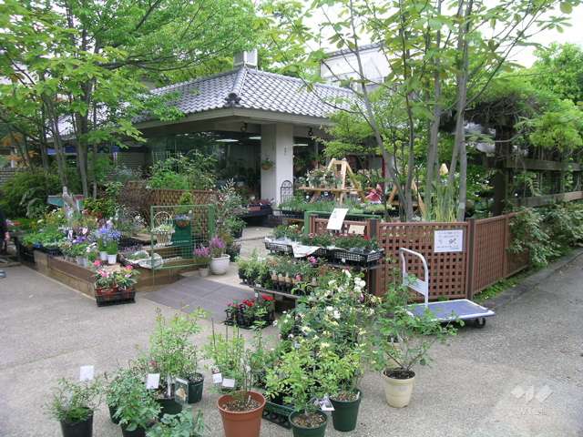 北山緑化植物園7