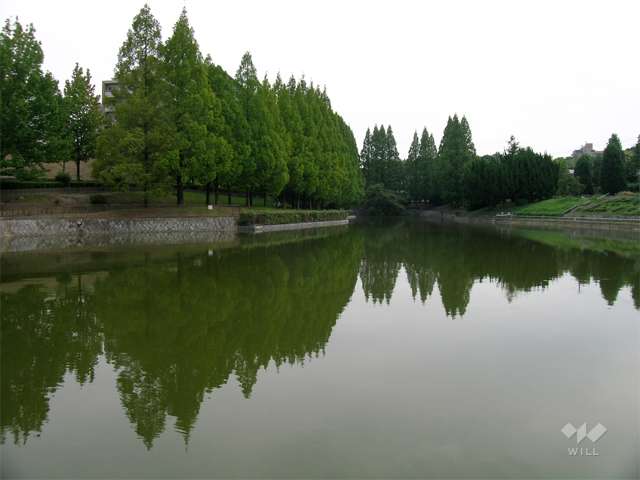 佐竹公園5