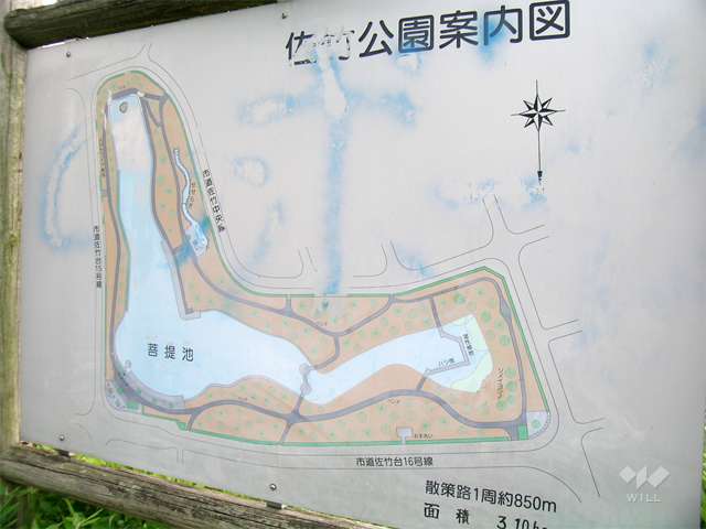 佐竹公園6