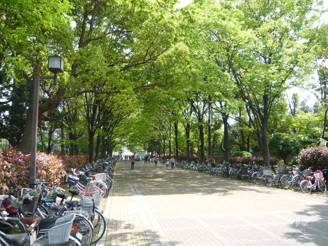 記念公園2