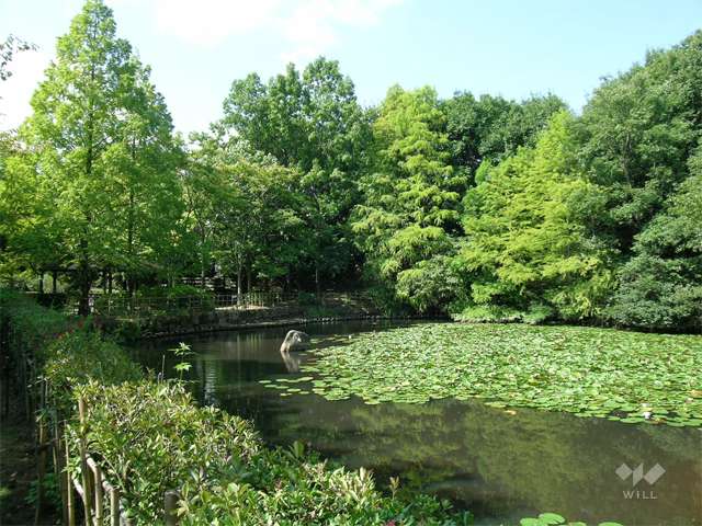 北山公園7