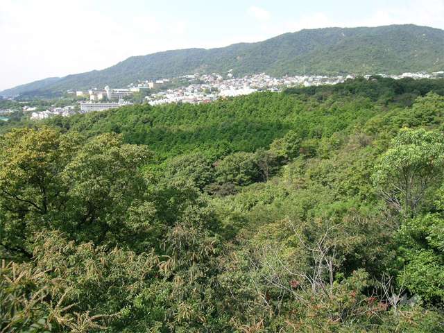 北山公園3