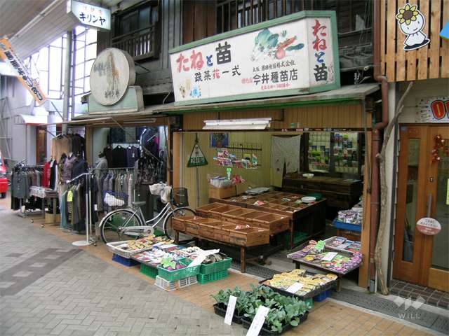 サカエマチ1番街、サカエマチ2番街11