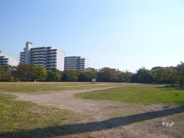 鳴尾浜臨海公園（北地区）6