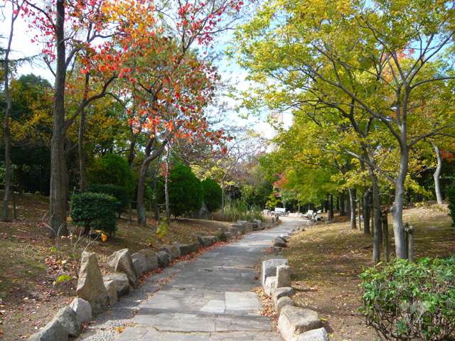 芦屋中央公園3