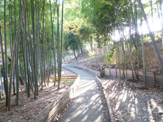 新芦屋中央公園2