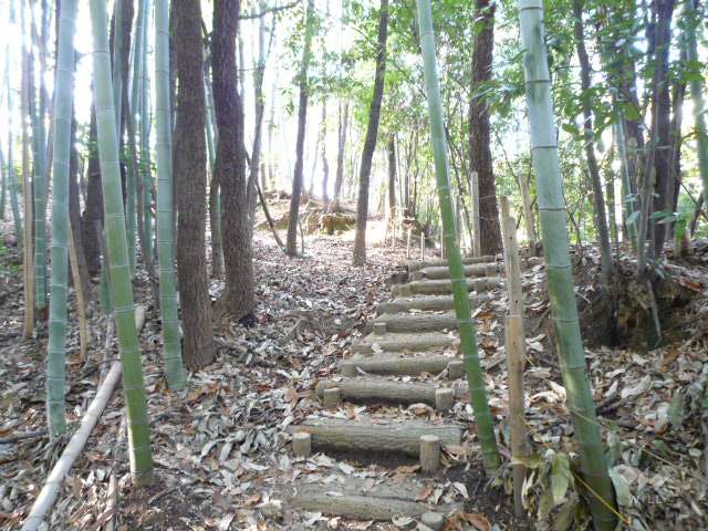 新芦屋中央公園4