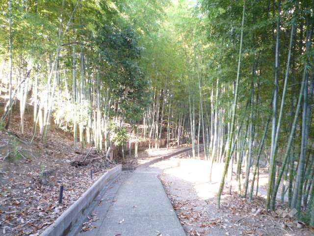 新芦屋中央公園8