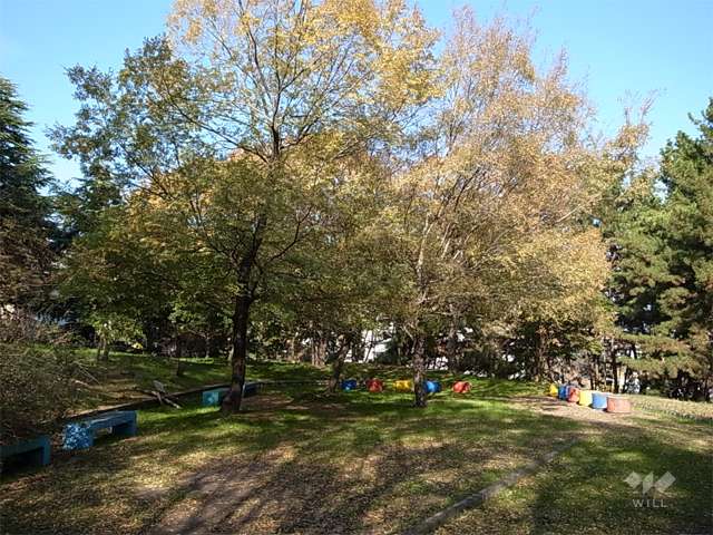 桃山台スポーツグラウンド6