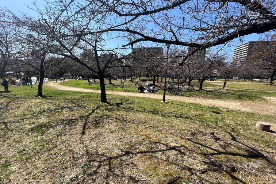 毛馬桜之宮公園3