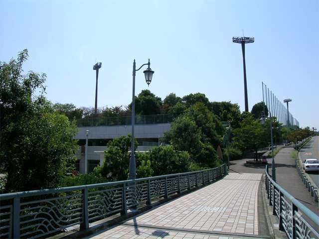 総合運動場1