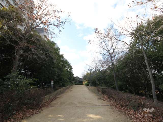 シティヒル東緑地13