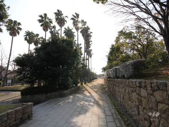 シティヒル西緑地2