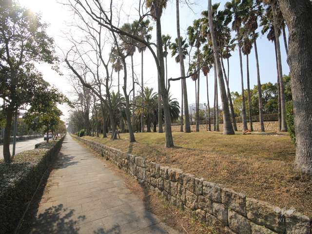 シティヒル西緑地6