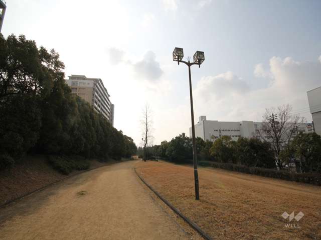 シティヒル西緑地8