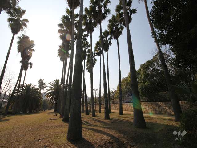 シティヒル西緑地9