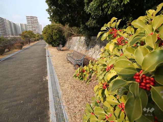 六甲アイランド公園西5