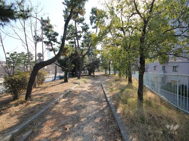 石屋川公園2