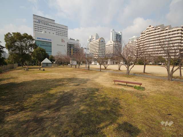 向洋東公園5