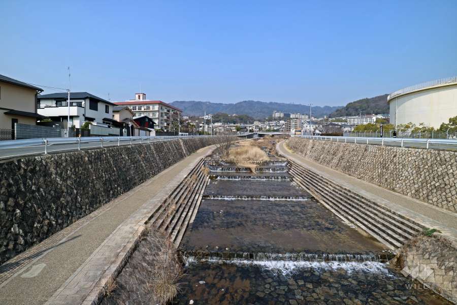 住吉川5
