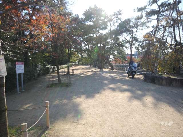 深田池公園3