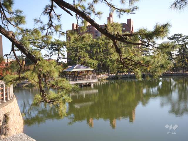 深田池公園5