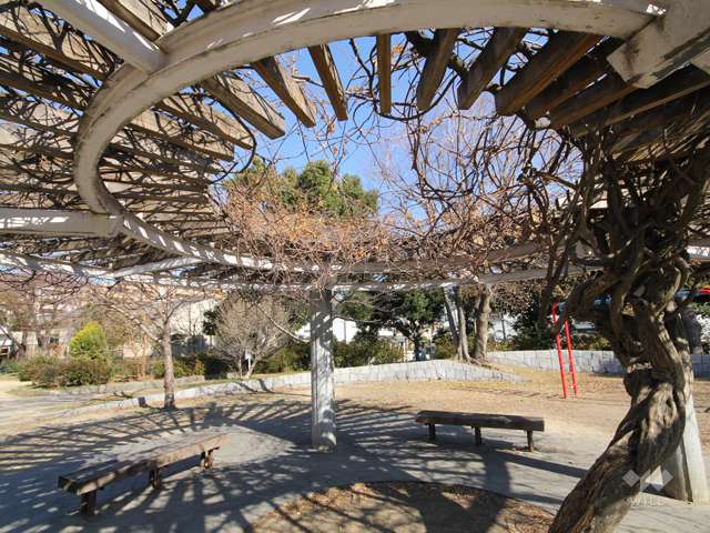 福井池公園7