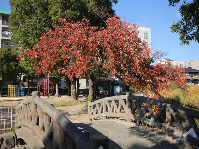 宝島池公園3