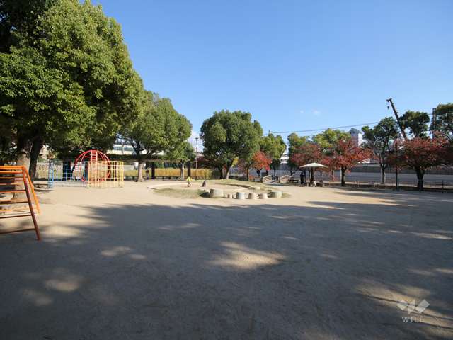 宝島池公園4