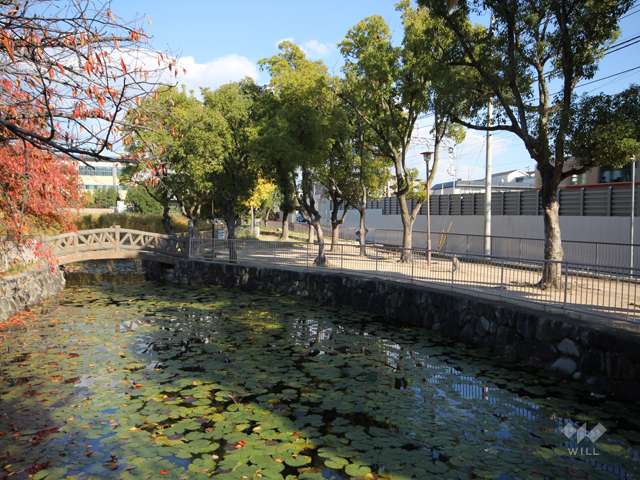 宝島池公園5