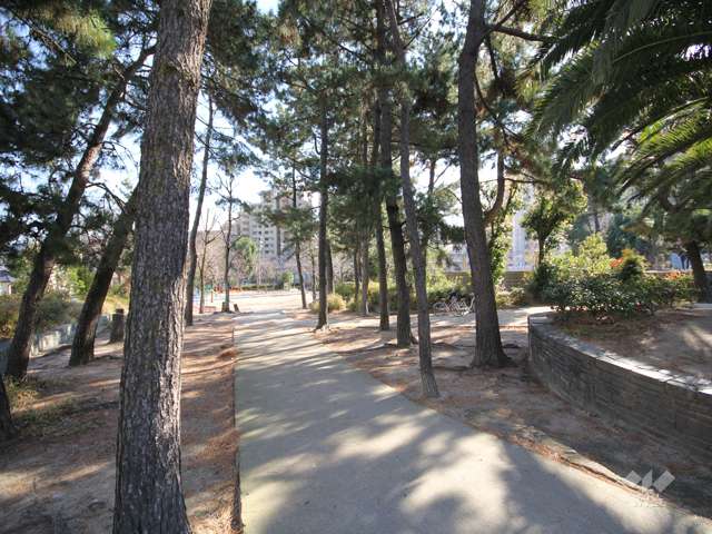 野寄公園4