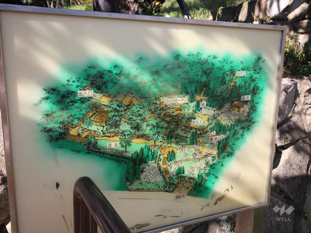 岡本梅林公園（岡本公園）3