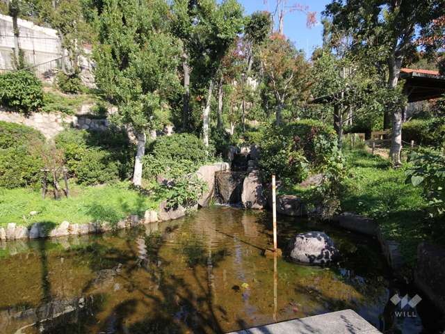 岡本梅林公園（岡本公園）7