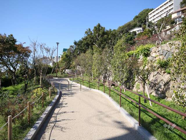 岡本梅林公園（岡本公園）10