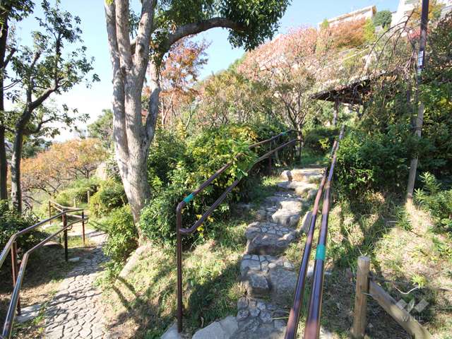 岡本梅林公園（岡本公園）12