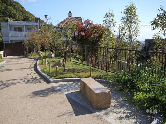 岡本梅林公園（岡本公園）13