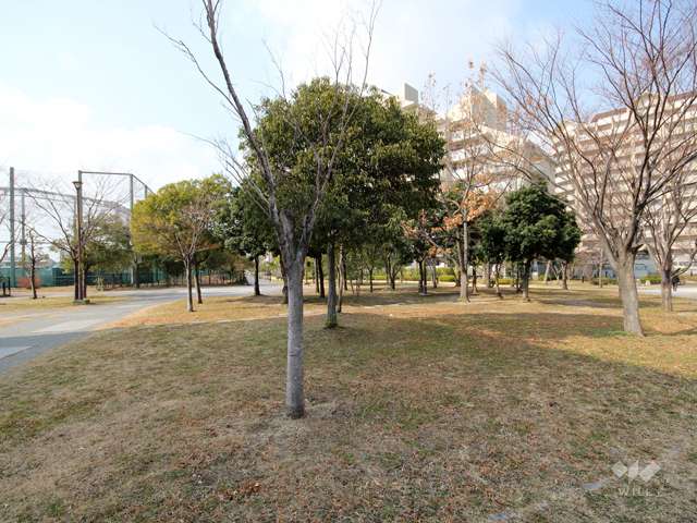 向洋町中3丁目公園8