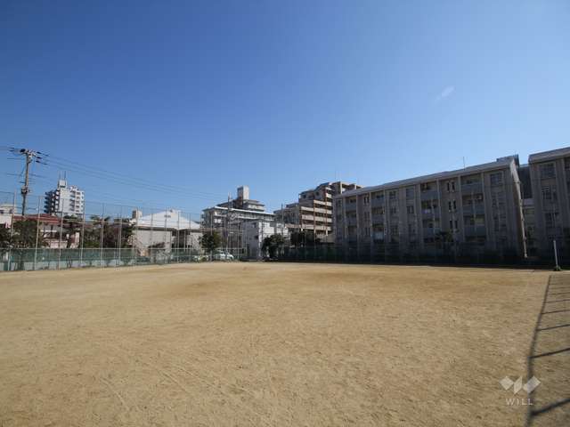 浜公園3