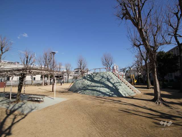 浜公園4
