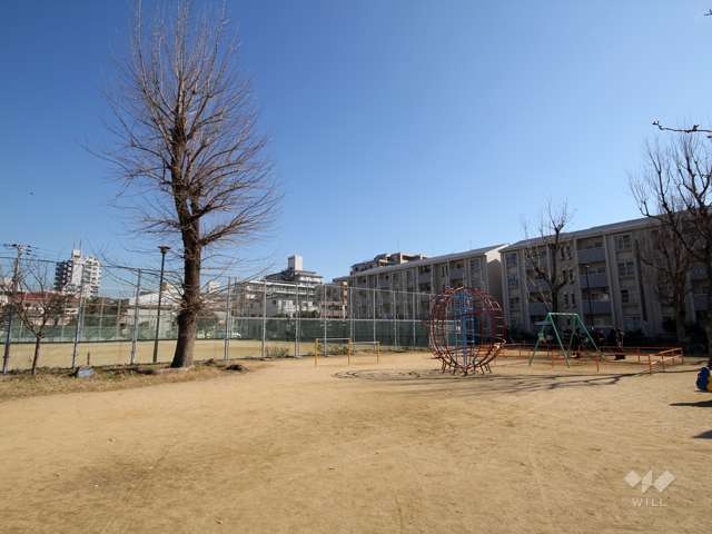 浜公園6