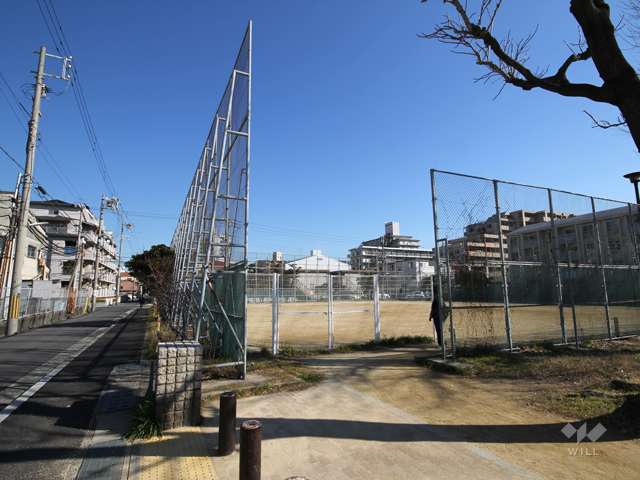 浜公園7