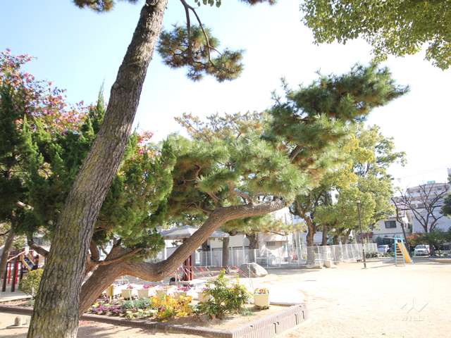 中之町公園8