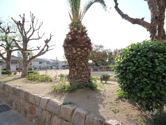 求女塚東公園6